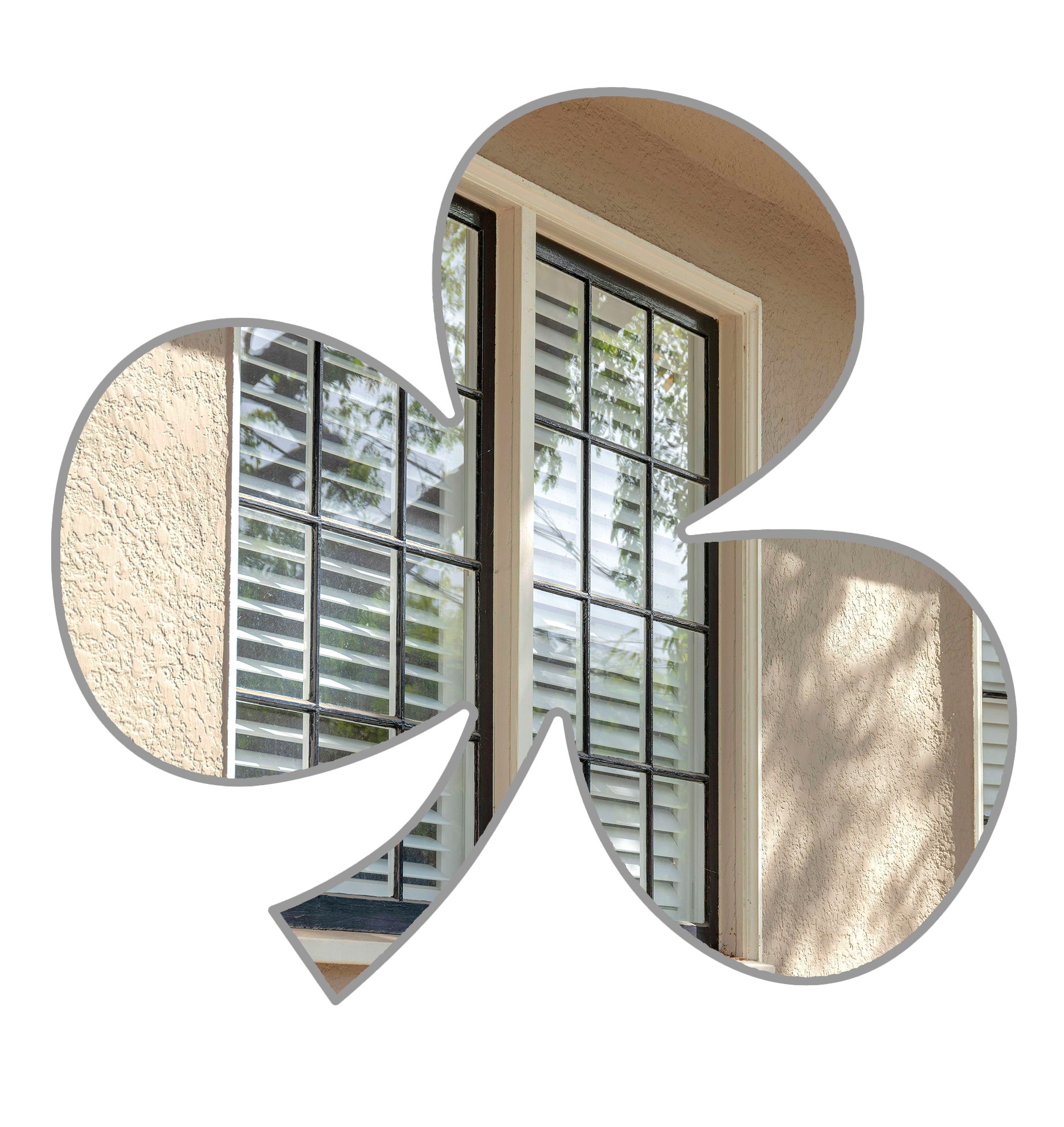 A shamrock outline with a widows picture shown inside of it